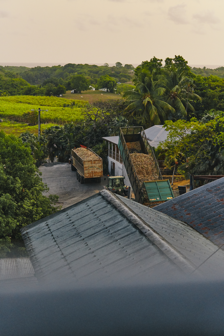 damoiseau-distillery-5