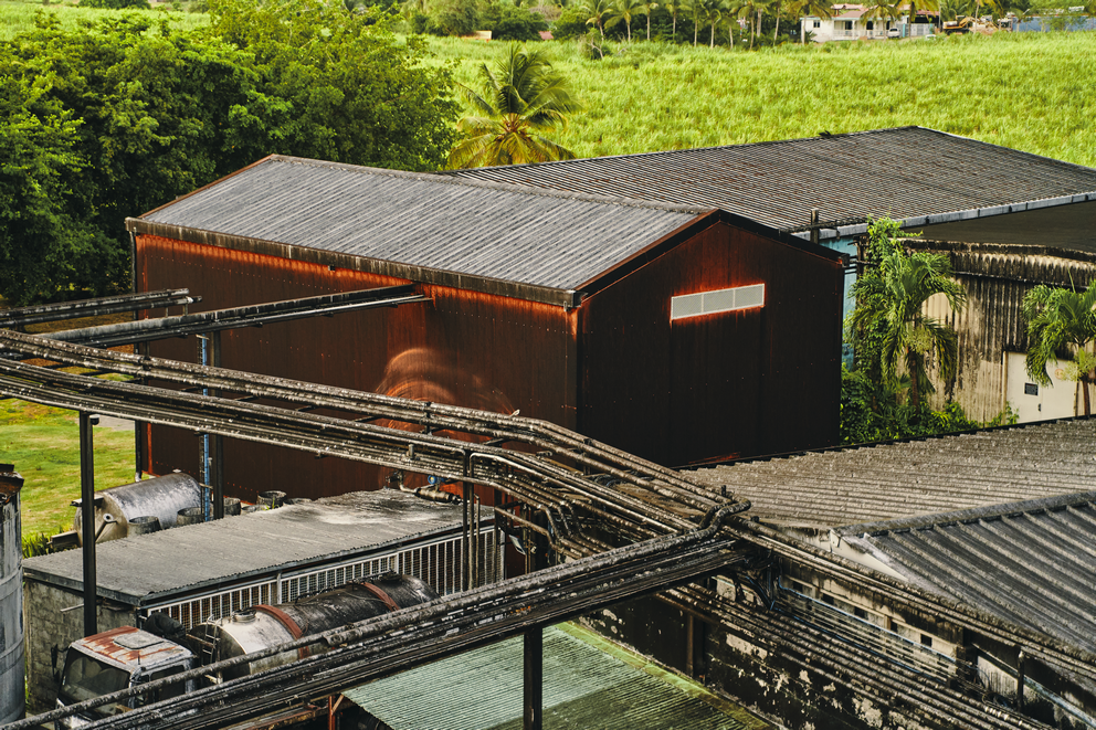 damoiseau-distillery-10