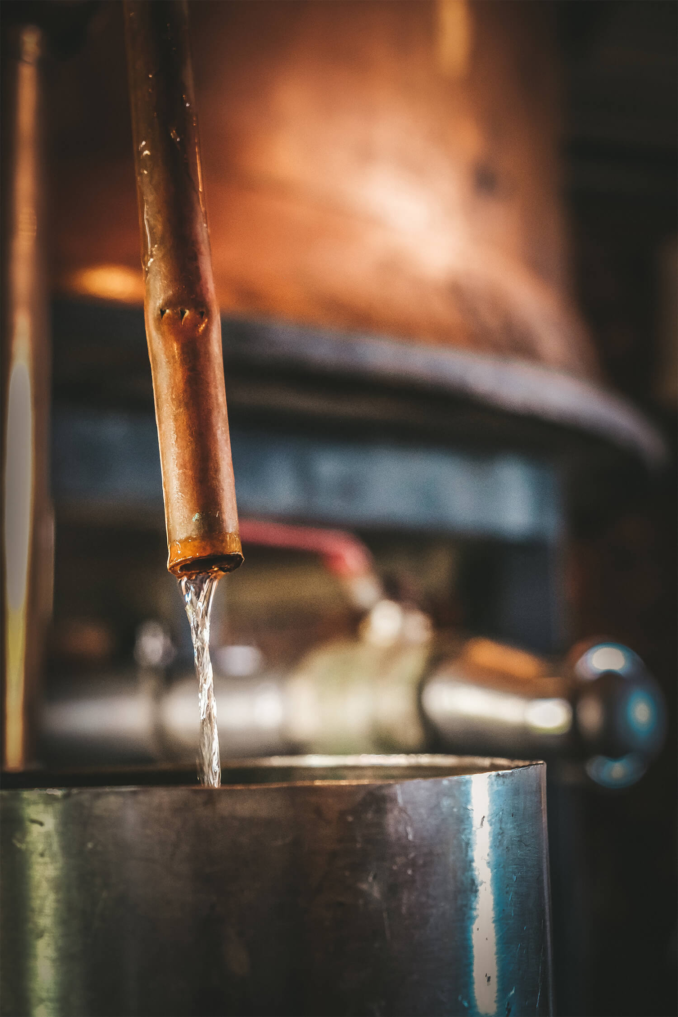 distillerie-a-1710-photo-no1