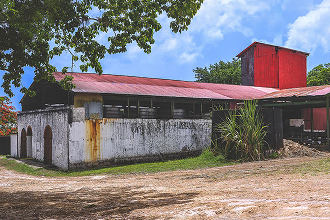 distillerie-devanture-pere-labal