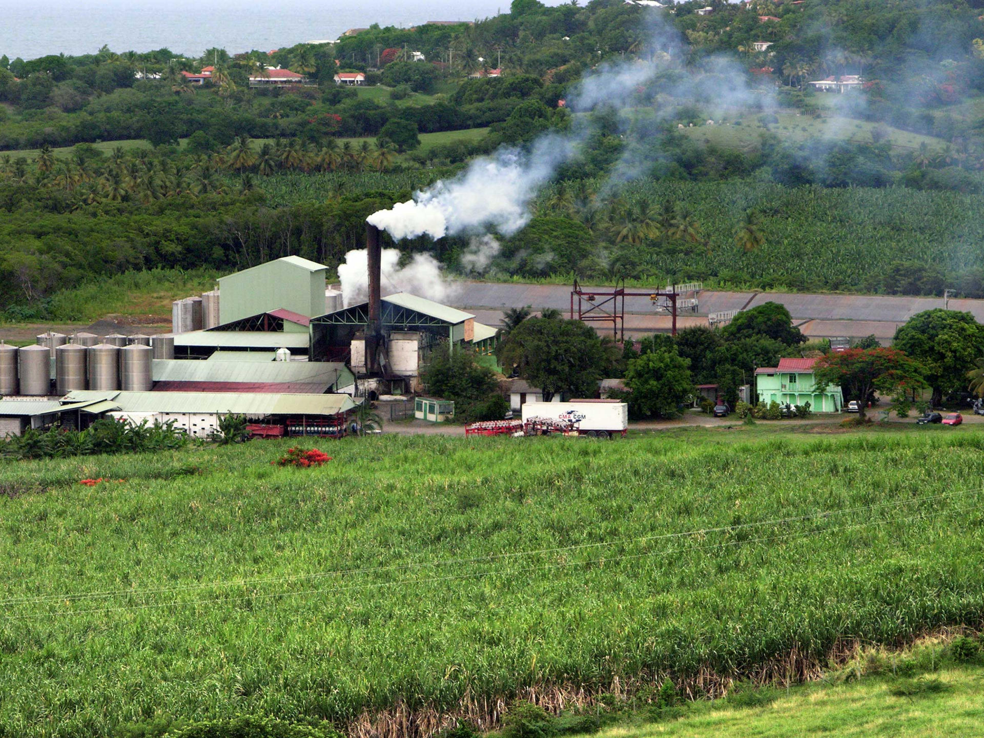 distillerie-simon2