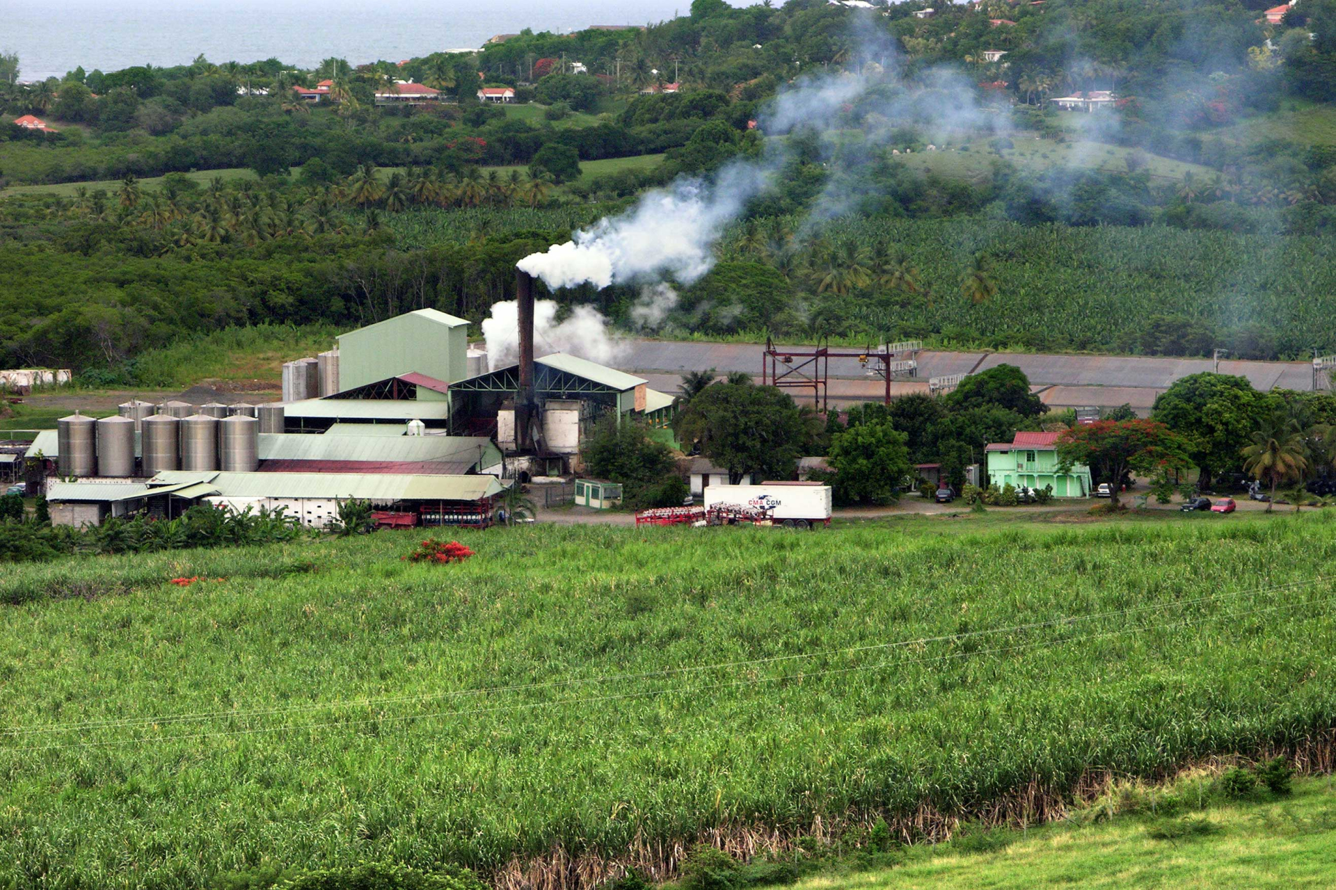 distillerie-simon